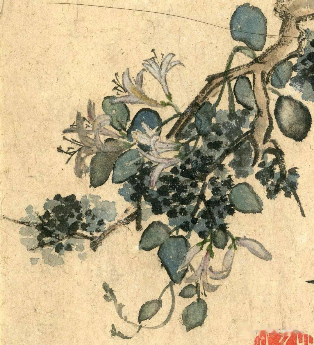 每日一画扬州八怪之一李鳝原裱花鸟册页高清版