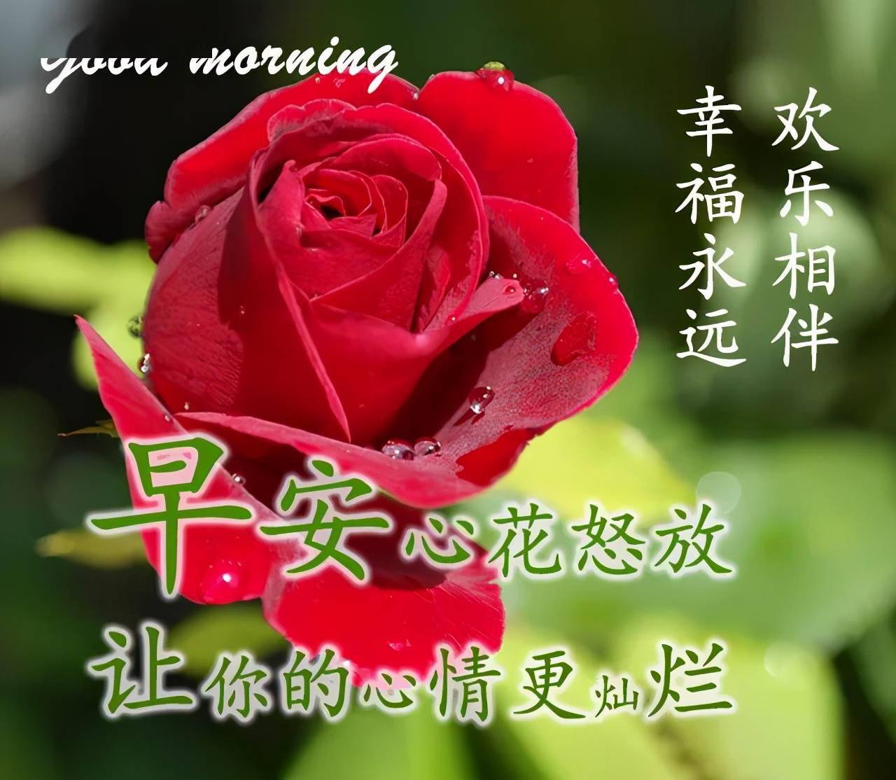 一月再见,二月你好!早安!