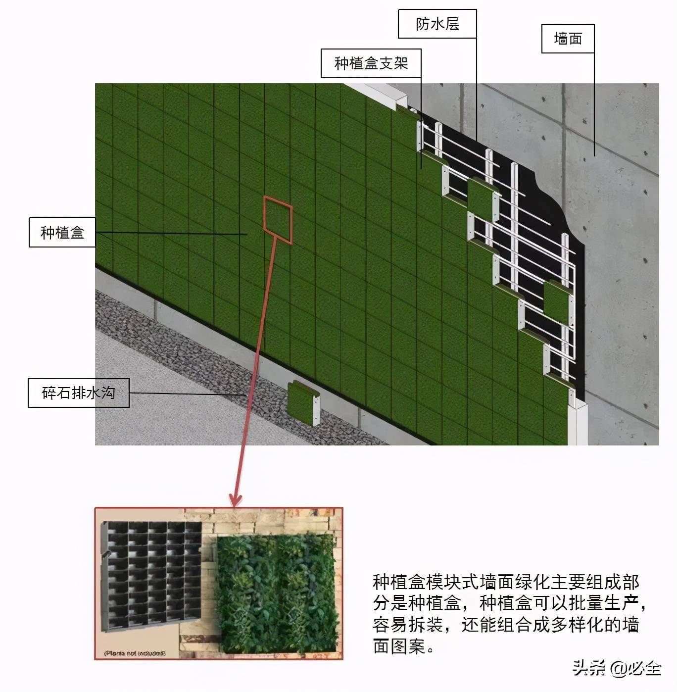 墙面绿化构造图片