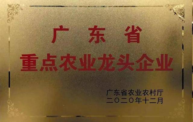 番禺|喜报!石基供销社新认定为省重点农业龙头企业