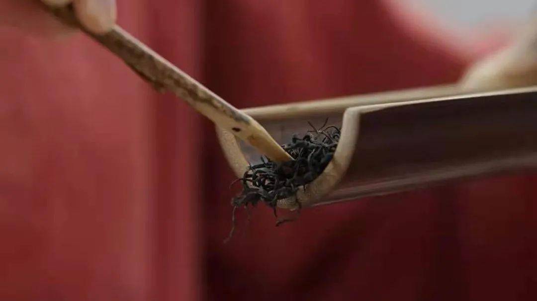 茶生活 点点红梅 盈盈暗香 杭州