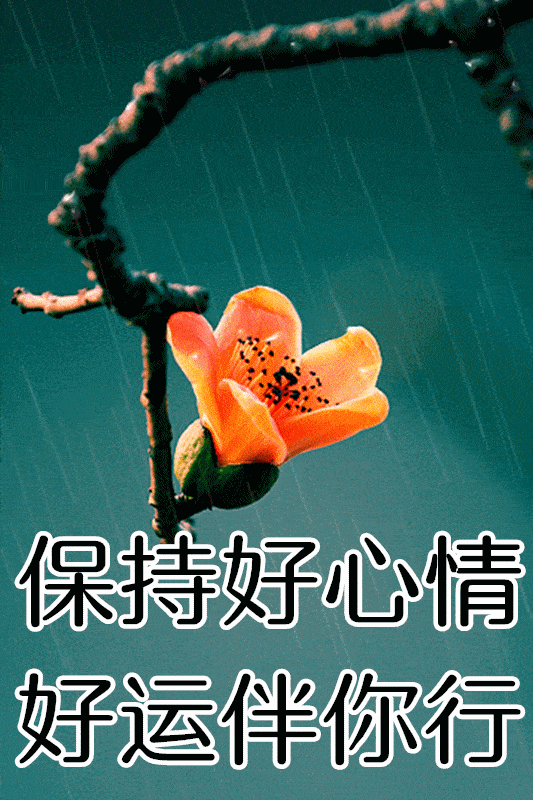 533_800竖版 竖屏gif 动态图 动图