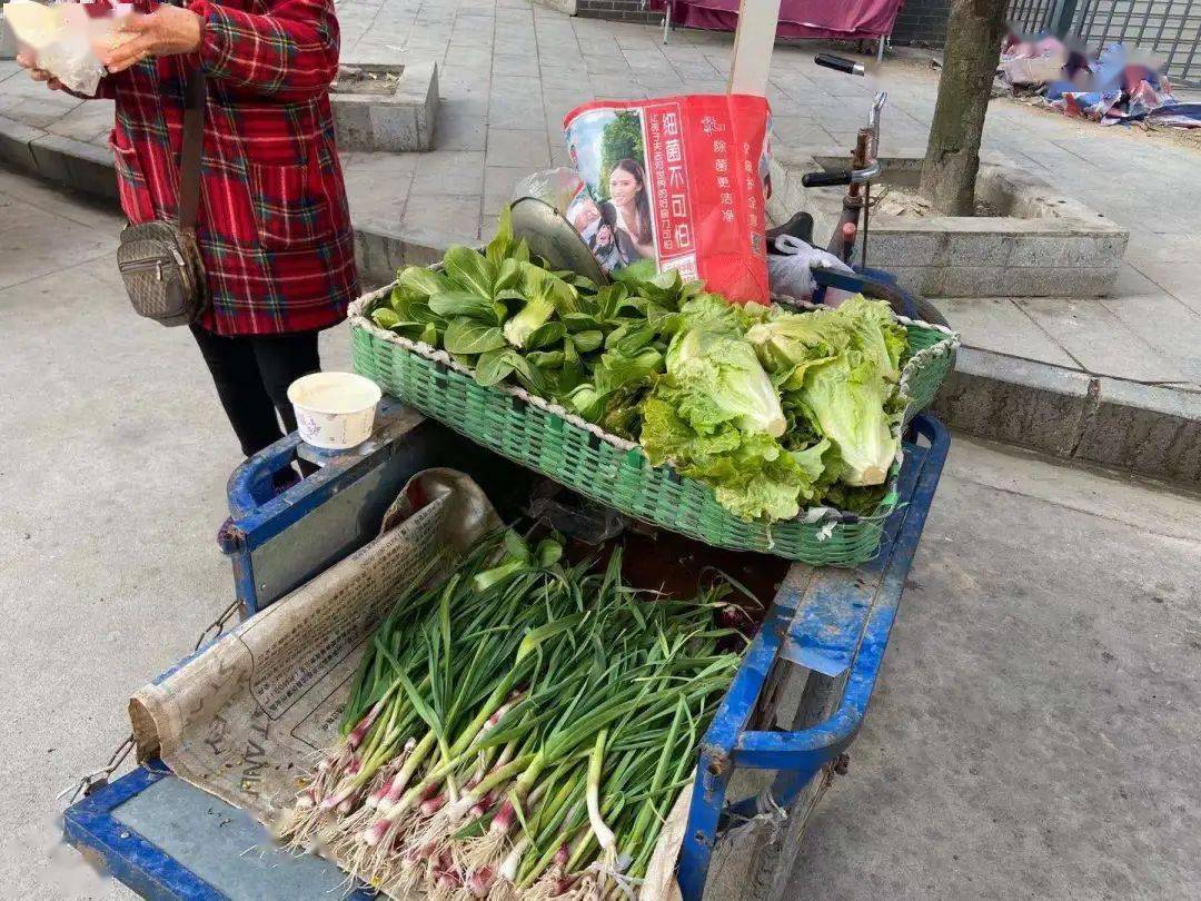 当涂县有多少人口(2)