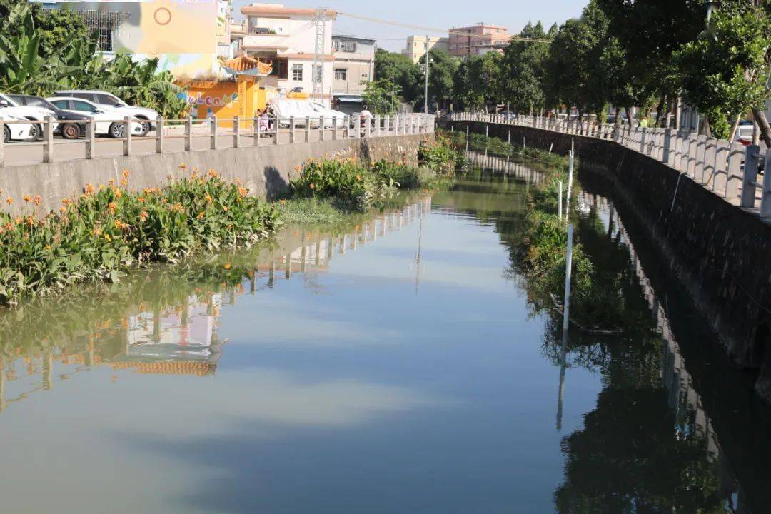 城区黑臭水体据了解,江门市全面推行河长制水质考核工作在新会区设置