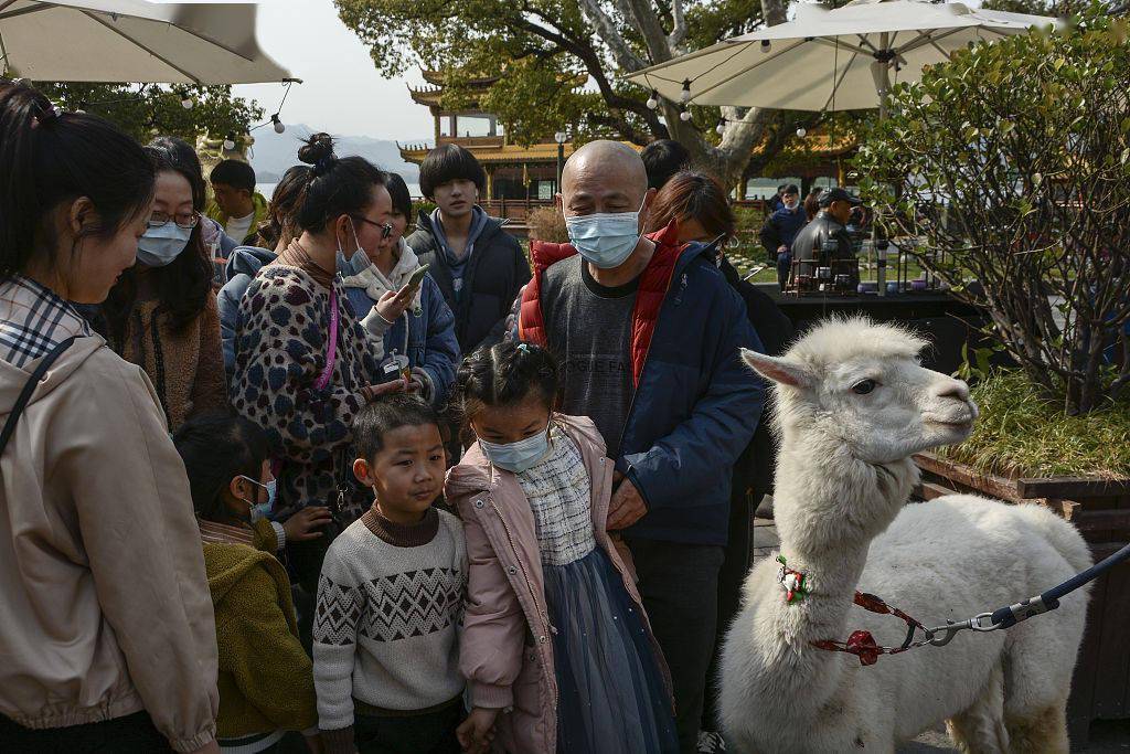 杭州：西湖边出现羊驼 引市民驻足观望