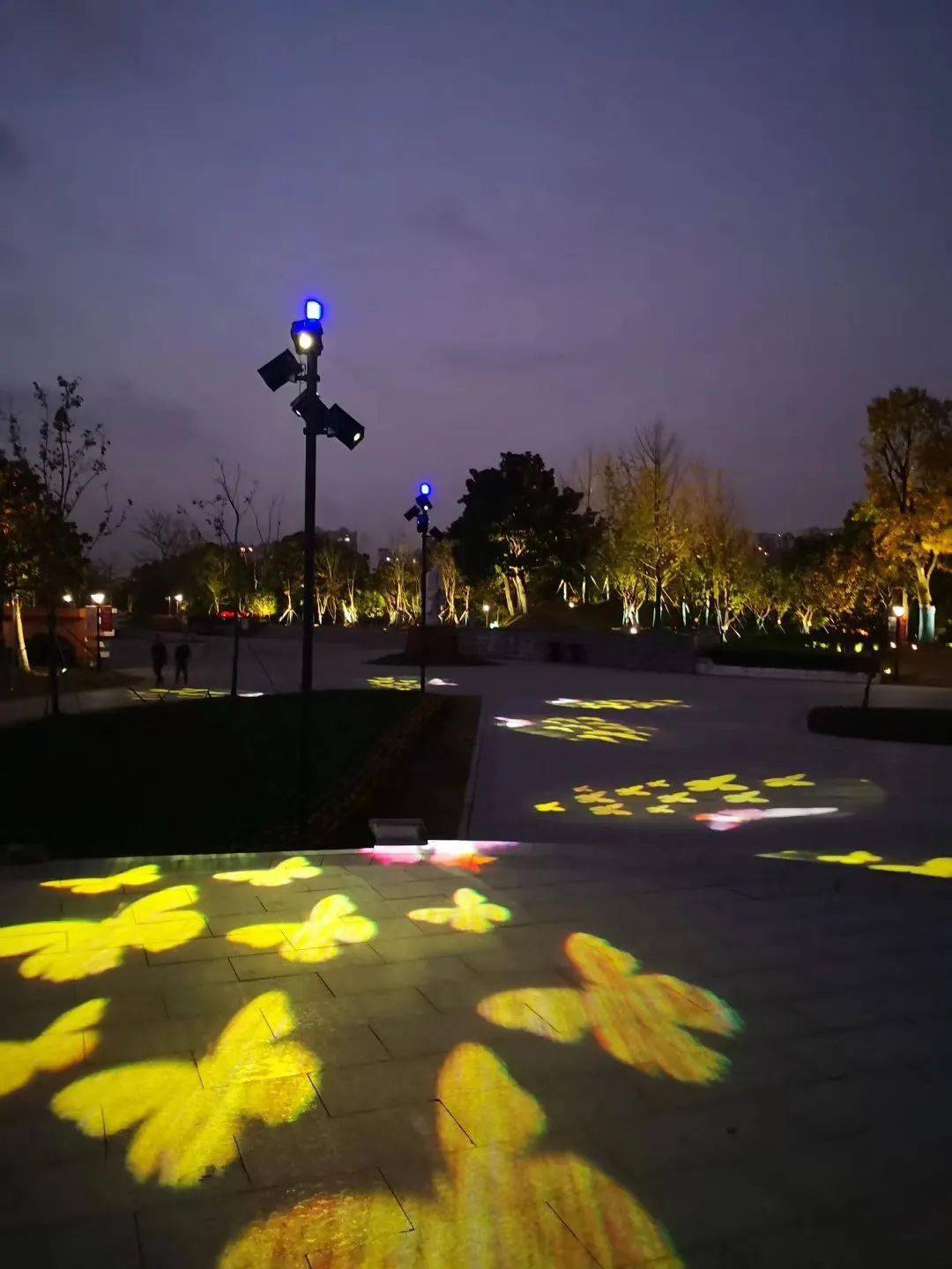 太美了2020奉贤春节景观灯光观赏地图已上线