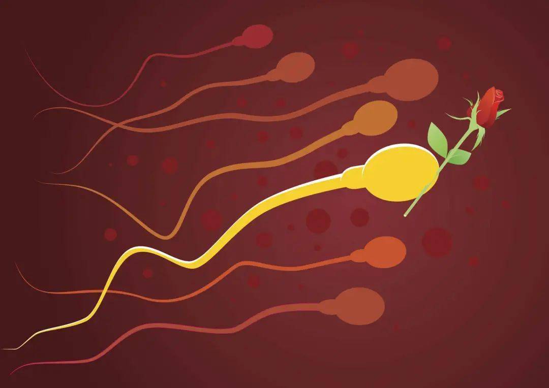 不進行運動等不良生活習慣都會在一定程度上影響精子的數量和質量因此