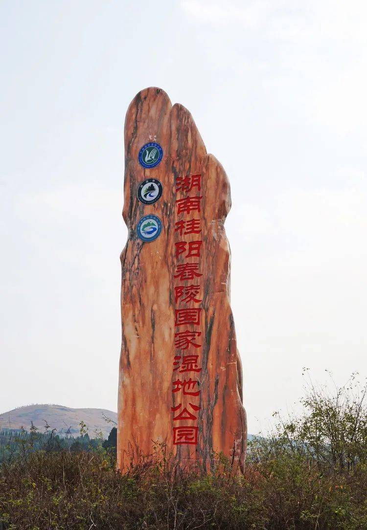 春节去哪儿桂阳人的天然氧吧舂陵国家湿地公园