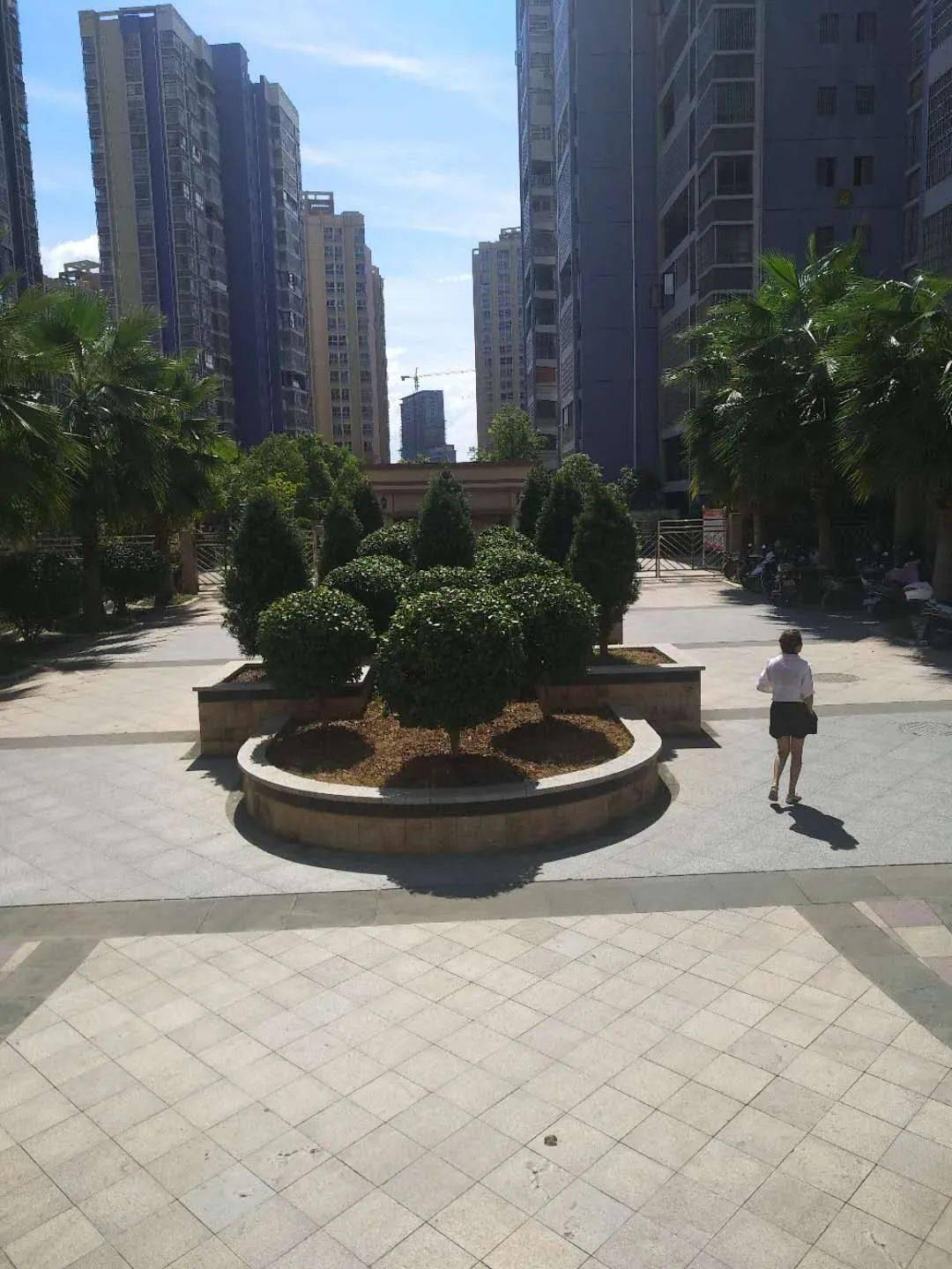 2020年度会昌这些小区物业优秀