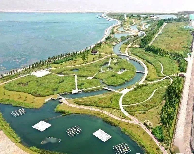 呼市金山人口_日照金山图片(2)