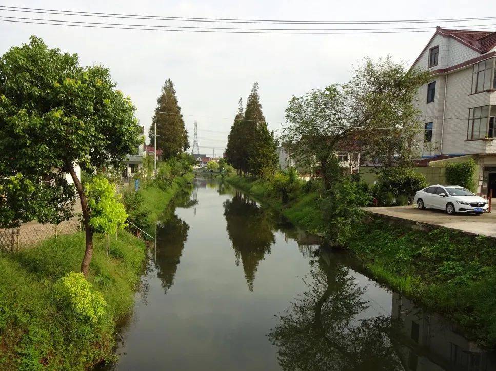 村级所属区域:海湾镇整治前整治后齐贤大庆河河道等级:区级镇管所属