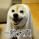 最适合新手的病毒分析——彩虹猫病毒