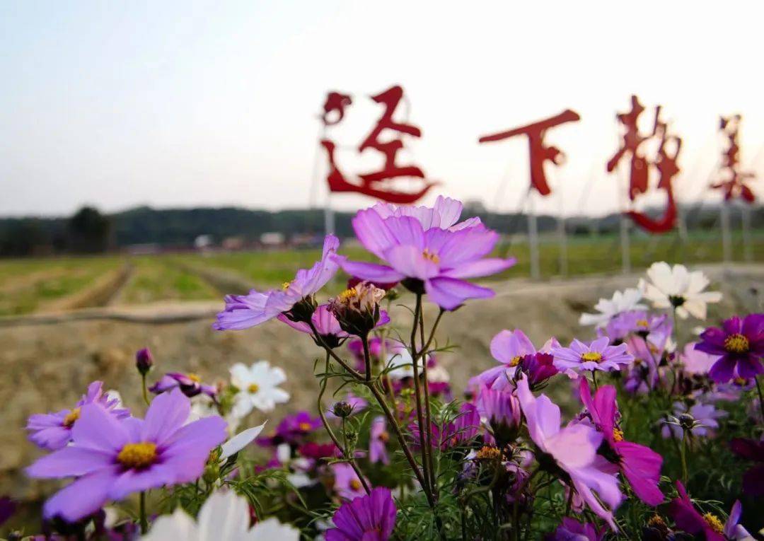 2平方公里,获得2018年度"广州市美丽乡村"称号.静美,迳下