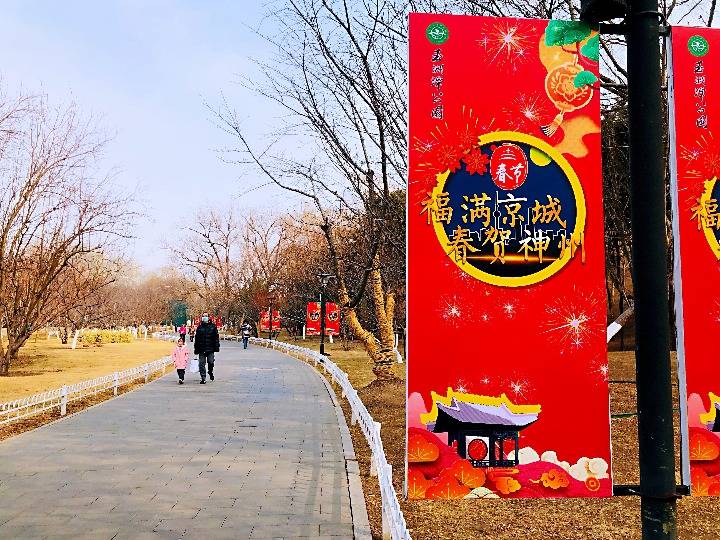 春节游园看过来！线下观景+线上逛展，北京市属公园活动多多