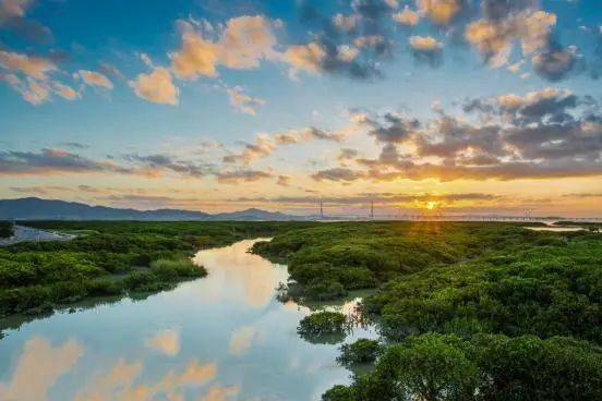 世界湿地日丨来了就不想离开——走过福建醉美湿地