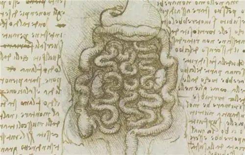 有了这几百张尸体解剖手稿达芬奇才能画出蒙娜丽莎的神秘微笑