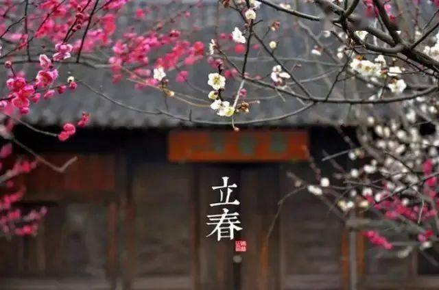 悦读 年宵花开喜盼春来 韭堆