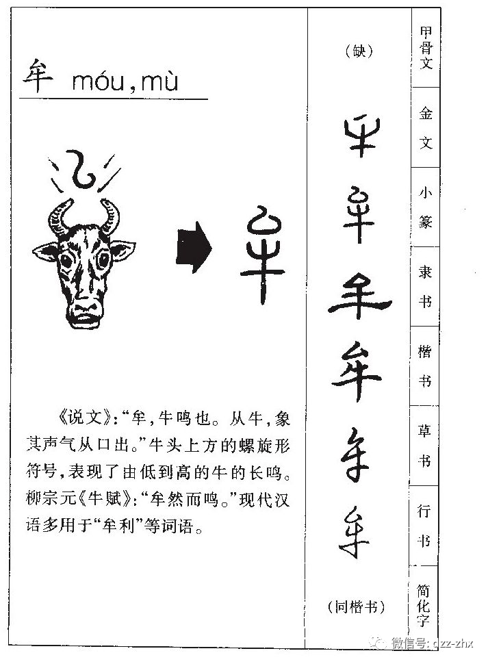 汉字文化 有故事的中国字 牛年话牛 甲骨文