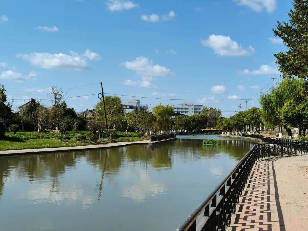 投票祝桥镇九星河入围最美河道等你来打call