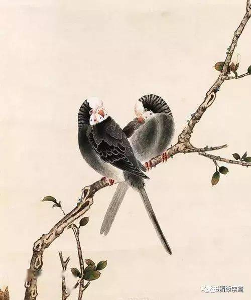 俞致贞画中的鸟禽不愧为工笔大师