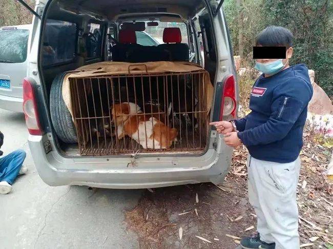 偷狗贼哪里跑这伙在韶关市区周边的偷狗团伙被一锅端了