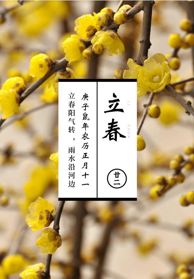 英 才博闻 立春 东风吹散眉梢雪 一夜挽回天下春 春饼