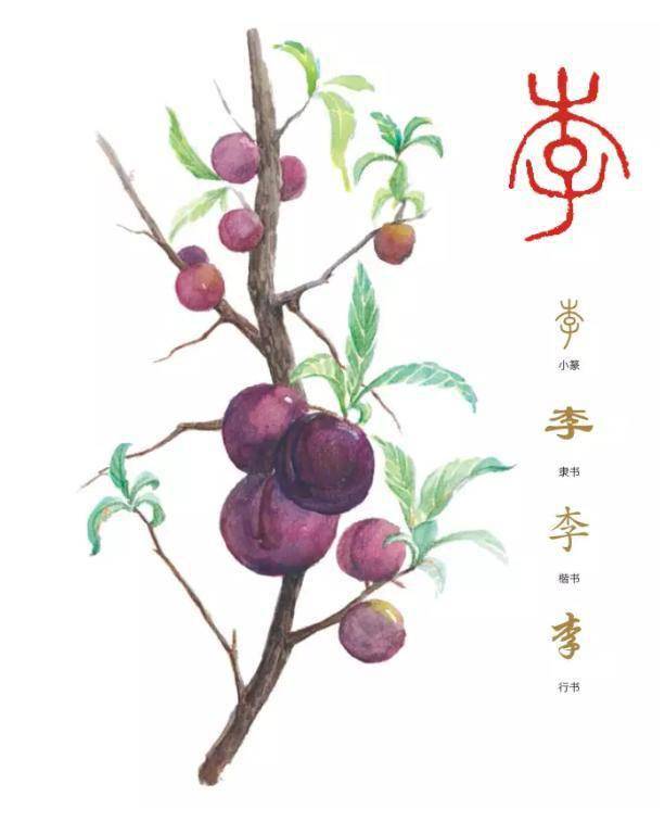 聆听汉字之美花草字传了解李