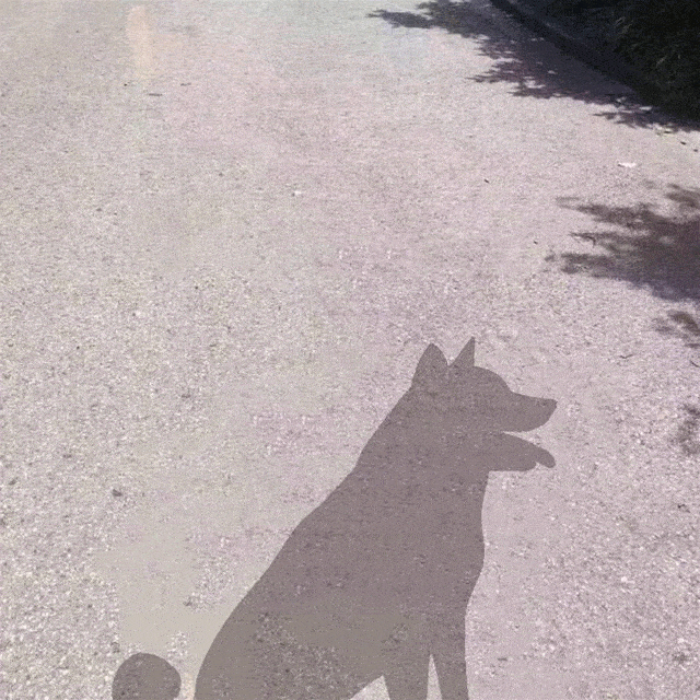 不看不知道,看完原来自己这么棒玩起了影子有人趁着阳光正好这不简直