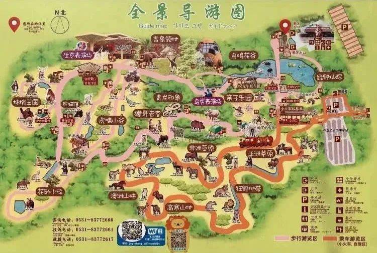 新春新玩法,济野邀您来打卡!_动物