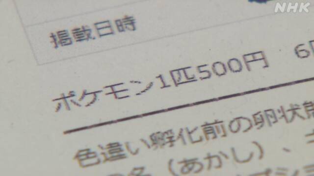 宝可梦剑盾 存档数据修改者被警方抓捕日本首次 进行
