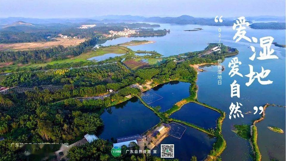 世界湿地日爱广东湿地爱自然