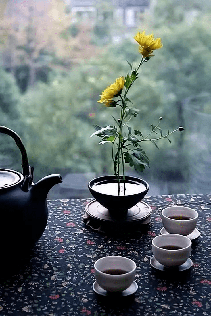 阳光一杯清茶唯美图片图片