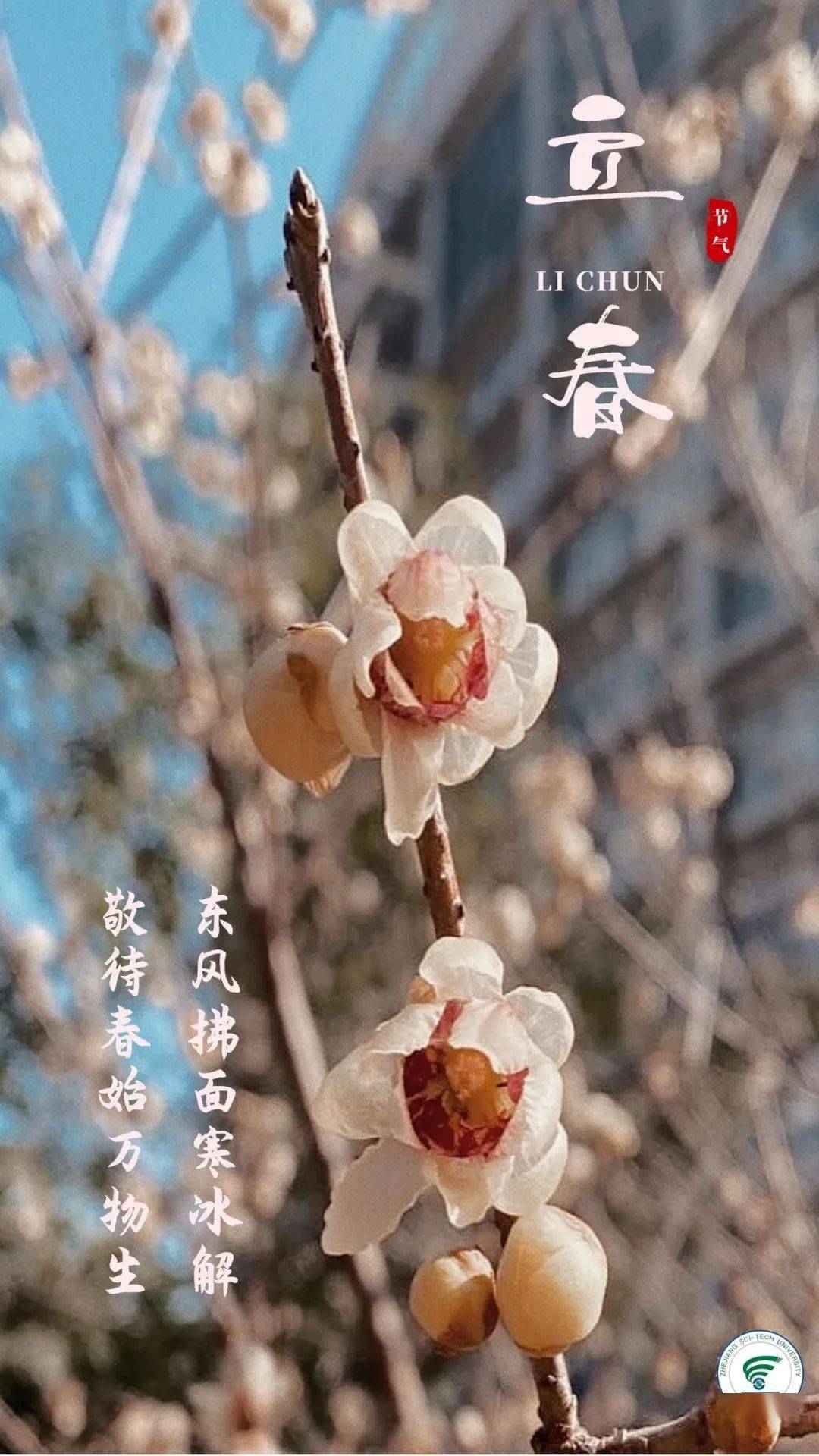 浙理立春冬将至春可期