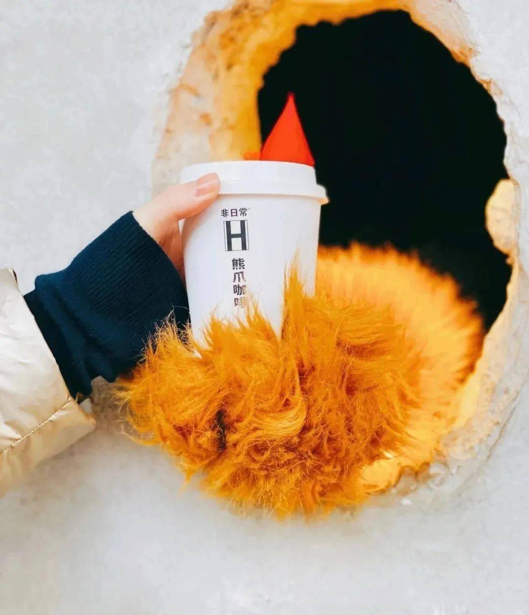 爆红全国的"熊爪咖啡",获央视点赞,却被要求整改?