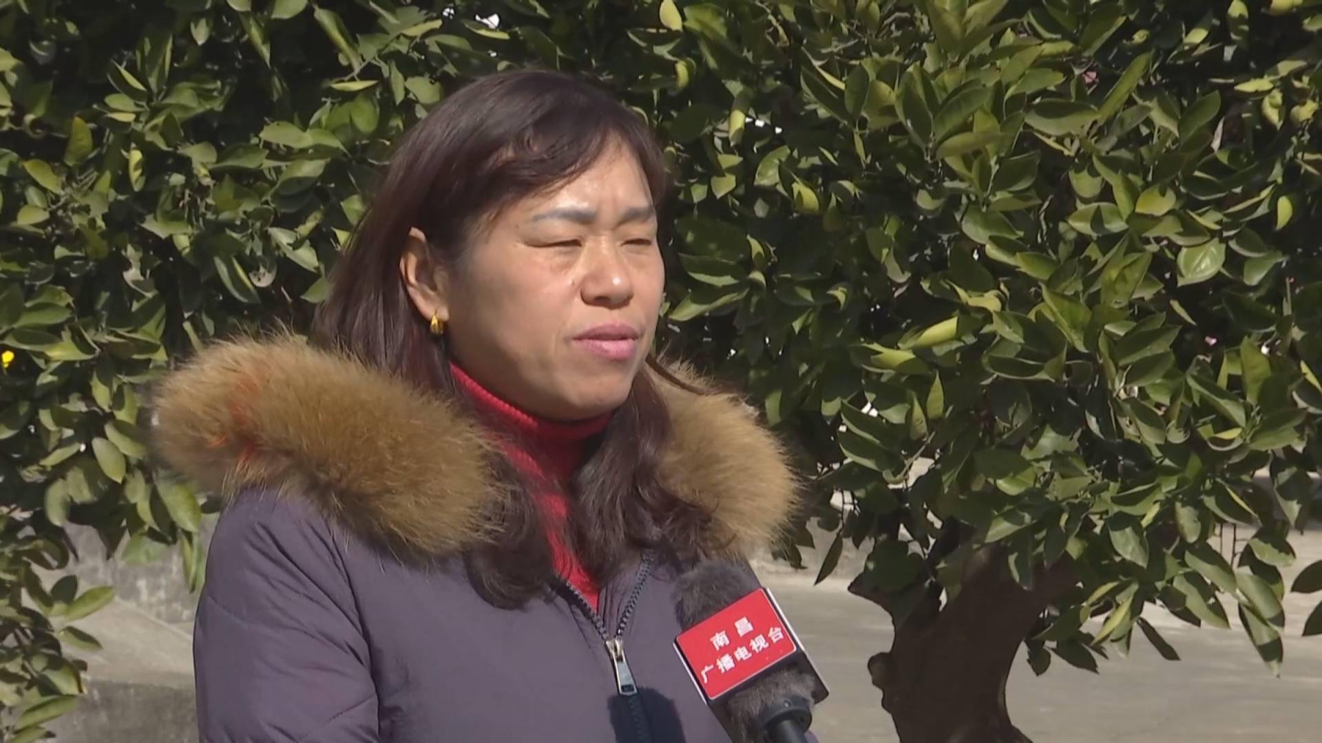 南昌县广福镇: 加强网格化管理 扎牢农村"防疫篱笆"