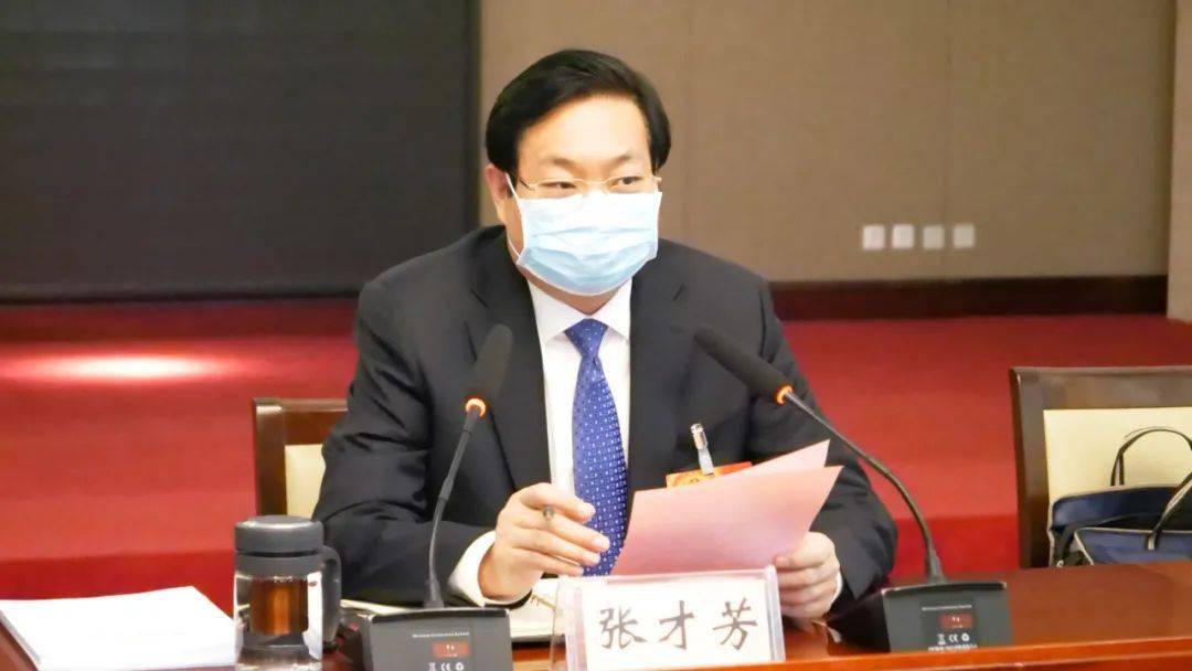 聚焦两会|县委书记张才芳参加磁州镇代表团审议