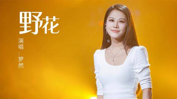 梦然一首野花歌声触动内心单曲循环了一整晚