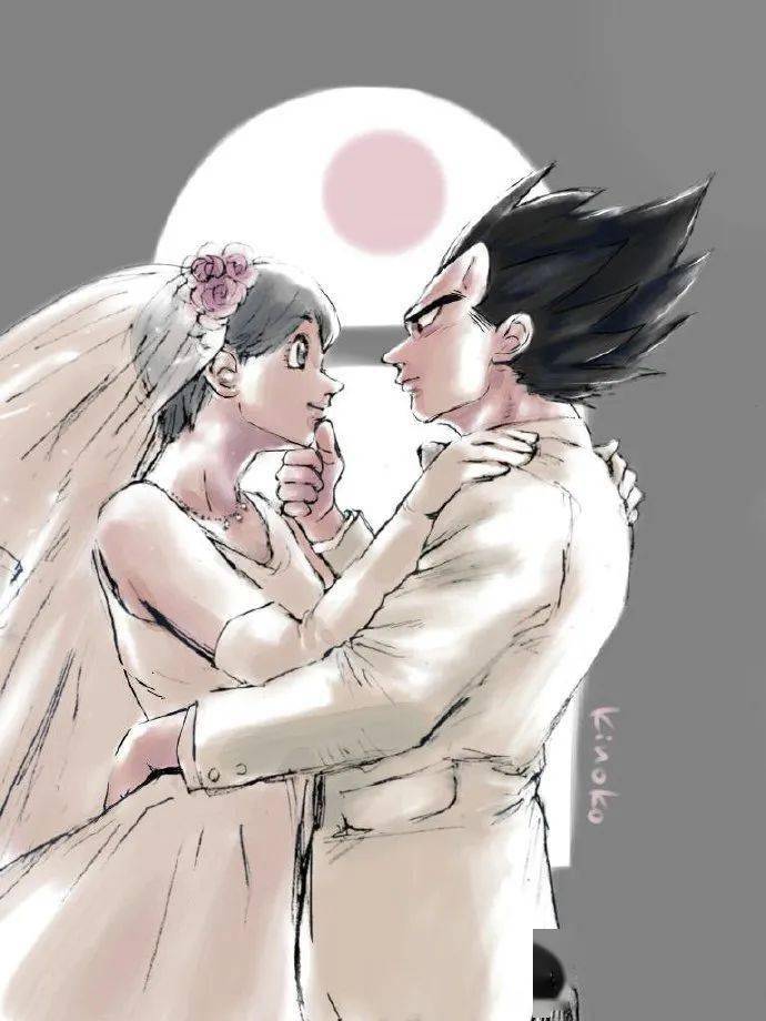 龙珠图集:悟空,布玛,贝吉塔!