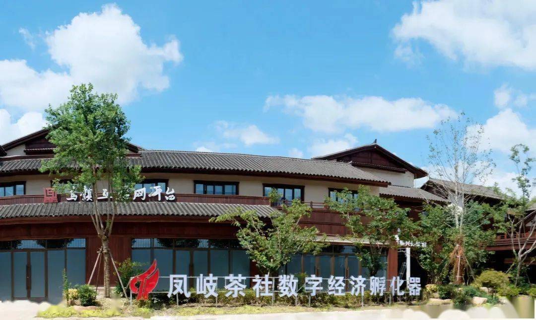 乌镇子夜路互联网文化创意街区乌镇股份旅游有限公司浙江省级,嘉兴