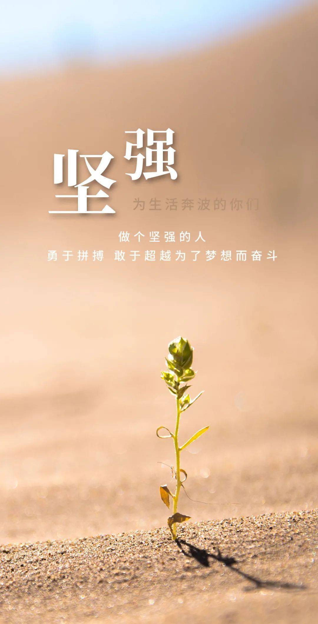 微信最走心的经典励志语录霸气励志悟透人生