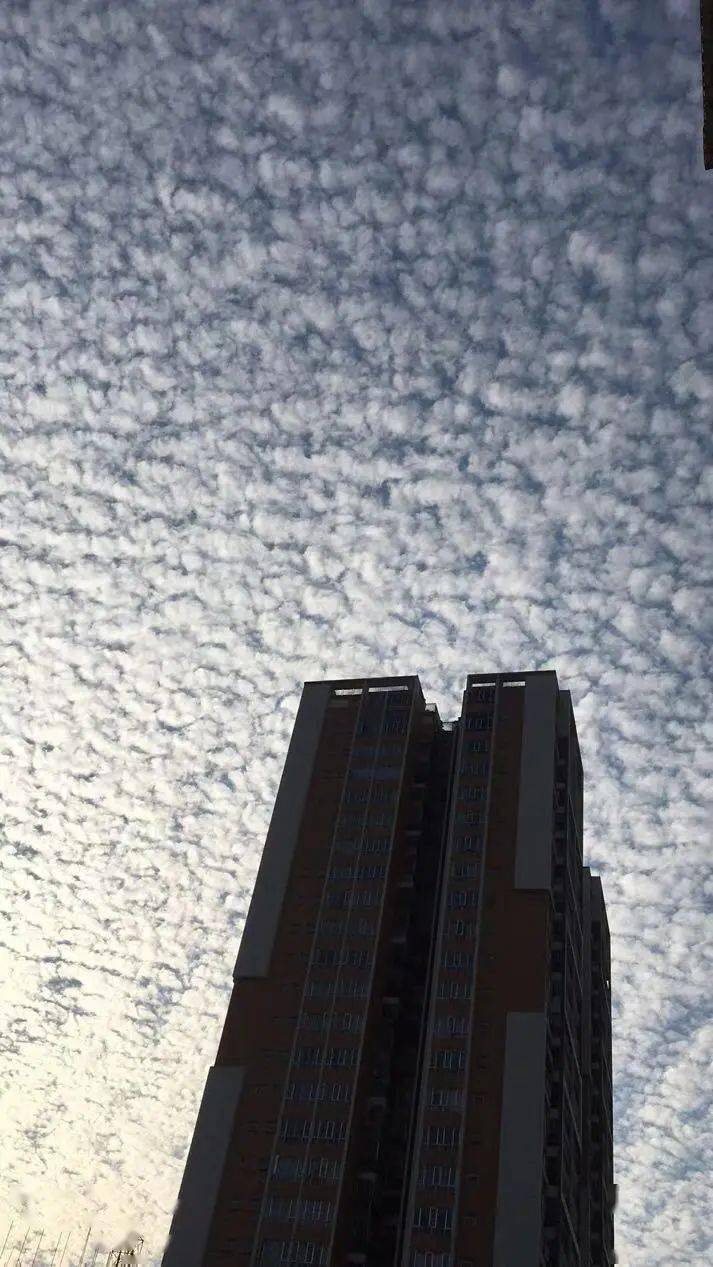 信宜惊现鱼鳞天画面太美是要变天了吗