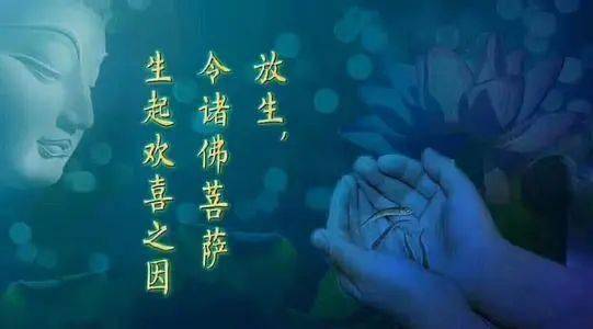 请把不花钱放生的方法法布施到圈子里,你会得到无边无量的福报!_功德