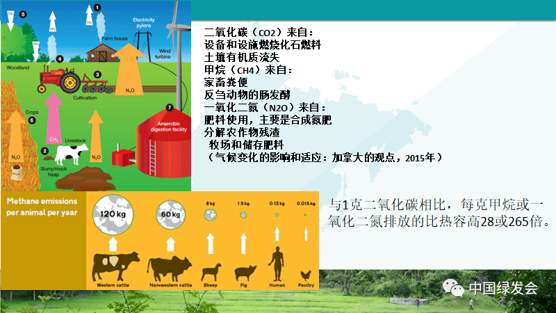 二氧化碳来源分析 图源/sara