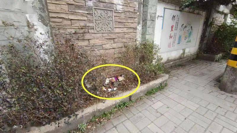 城市因文明而美丽,让我们以城市主人翁的姿态,从自己做起,杜绝乱扔