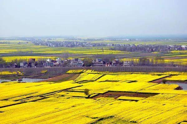 文化进万家61云上过大年邀你一起来欣赏复兴镇迎新春线上书画摄影