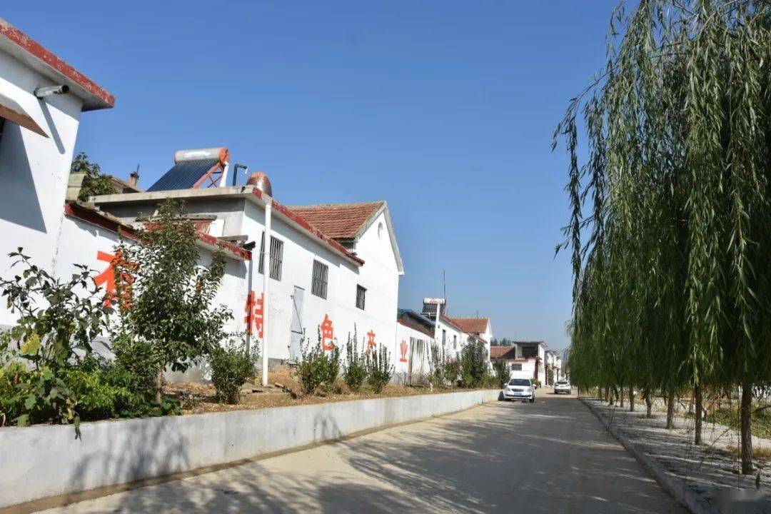 栉风沐雨秉初心务实笃行谱新篇姚村镇召开2020年度年终总结表彰大会