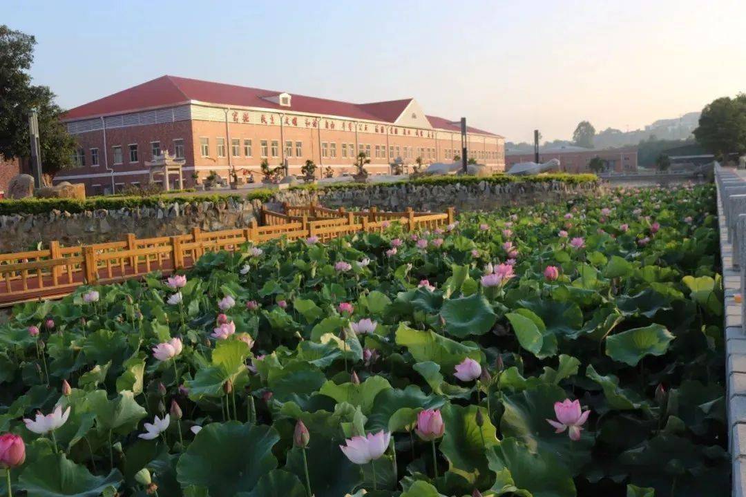 我的漳州理工国际学院快随漳小理的镜头一起来感受一下它吧
