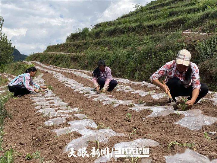 【我的扶贫故事】李世举:我的扶贫战线 从纳雍到