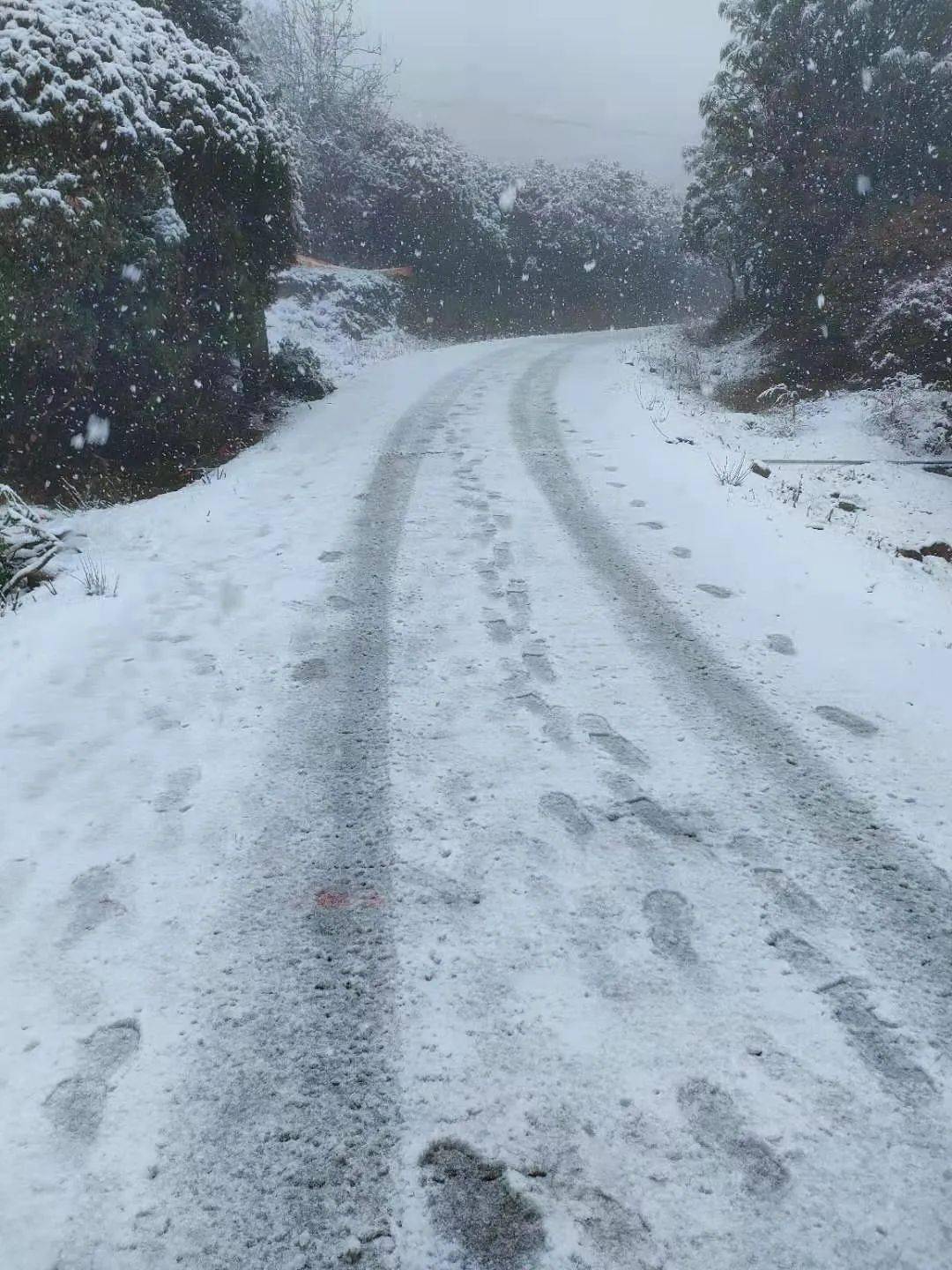 證據確鑿今天文山下雪了