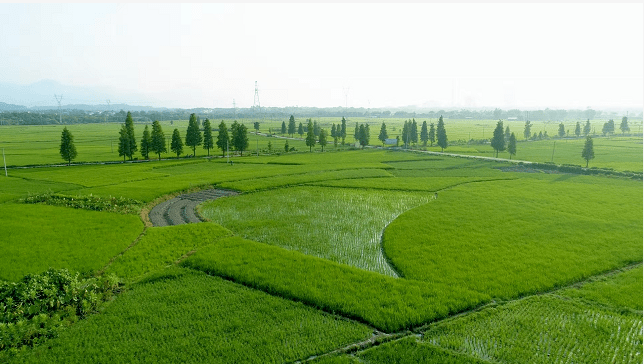 南雄gdp_南雄小吃特产图片(2)